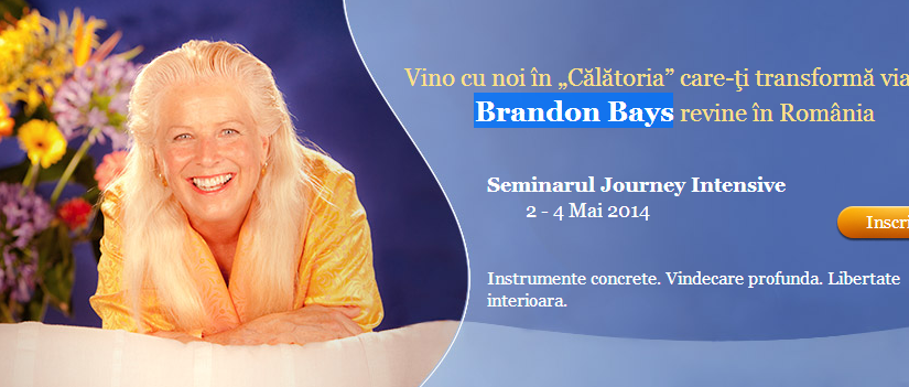 Brandon Bays