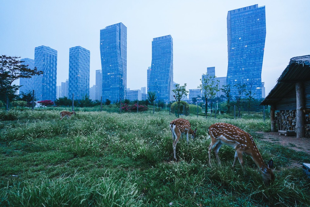 Songdo Photo Essay 01